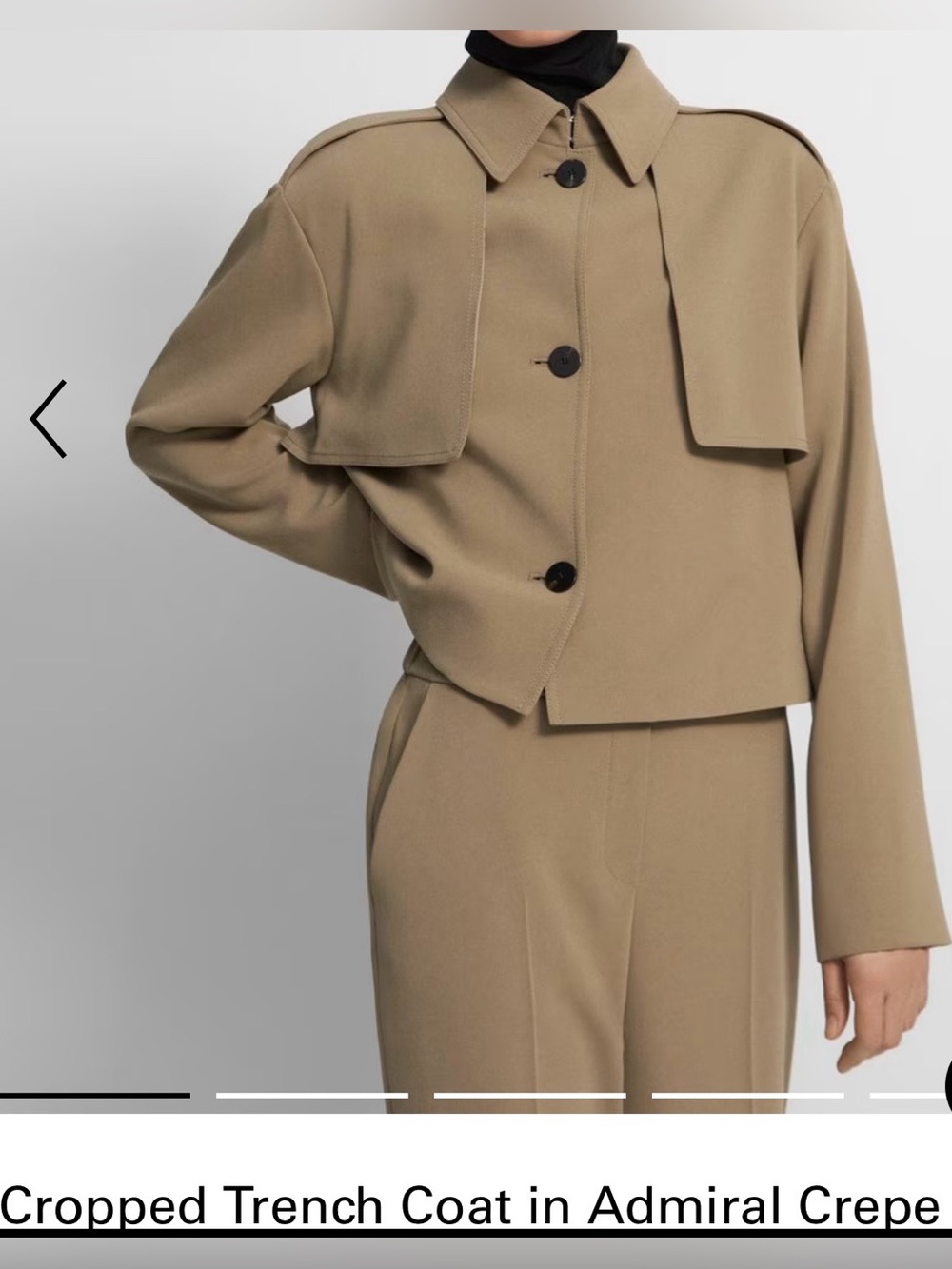 Theory Cropped Trench